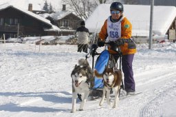 Lenk 2012 SM